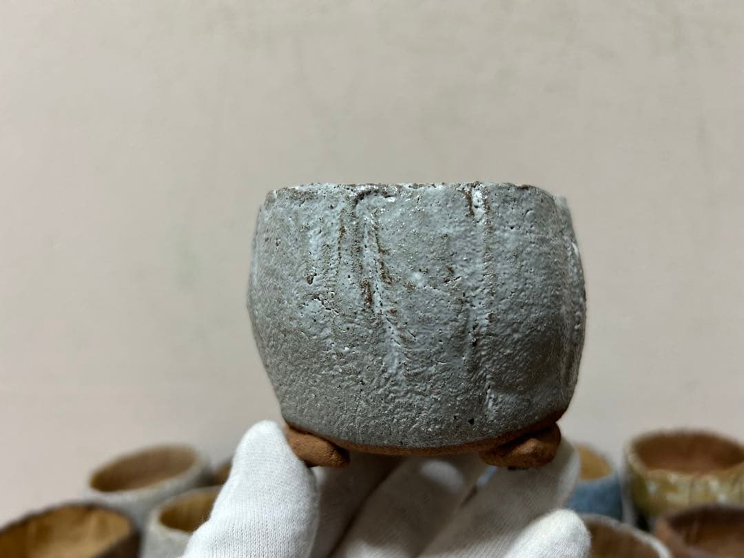 ひまわり