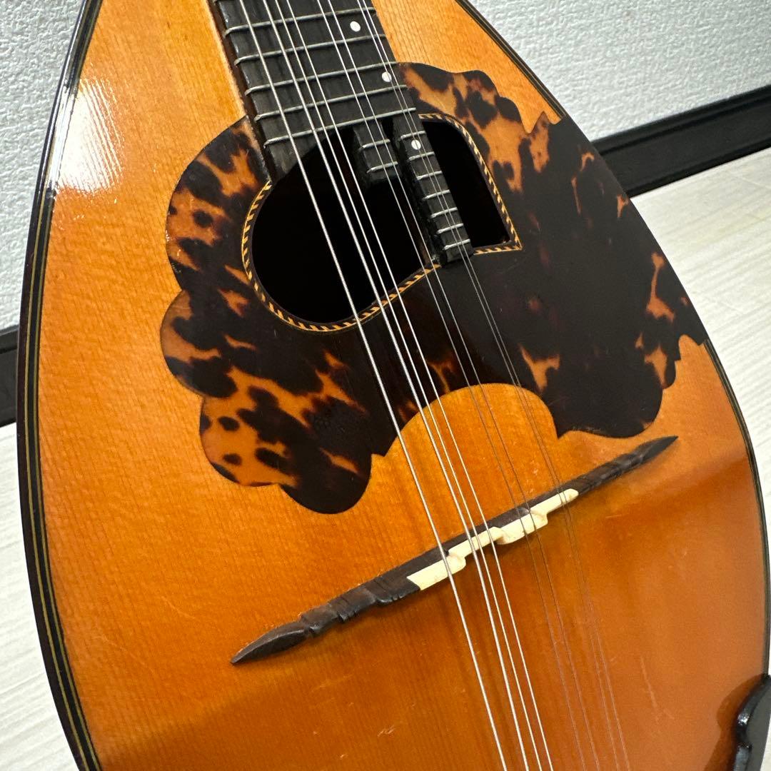 S. Watanabe No.50 Anno1971 渡辺精次 鼈甲多 ※31※