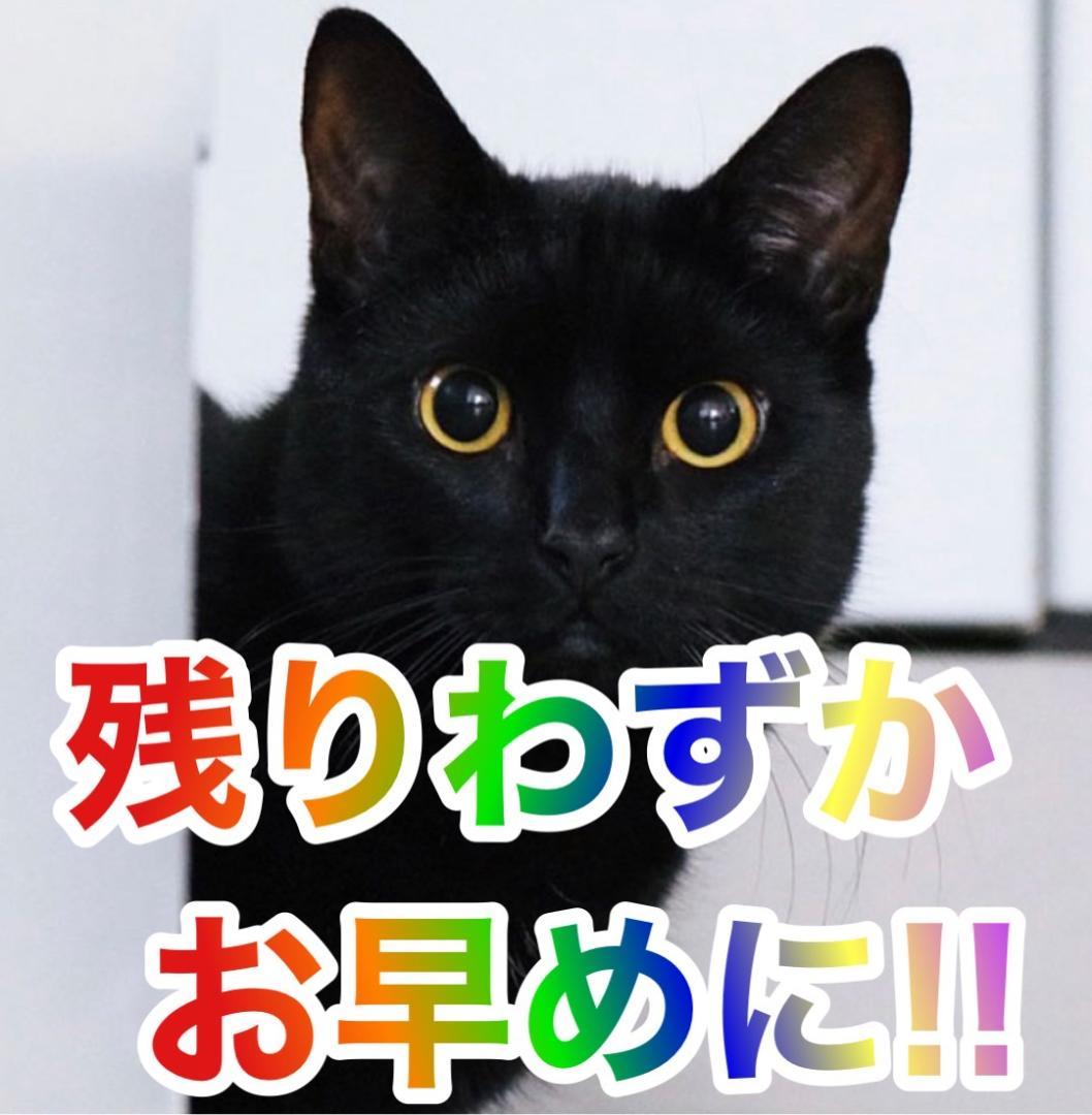 夜叉丸　SメイドインアビスEN　不要機ボリューム調整付