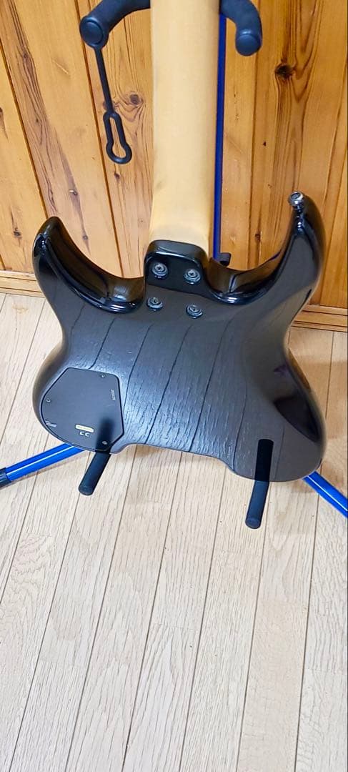 Spirit by STEINBERGER GU-DLX スタインバーガー