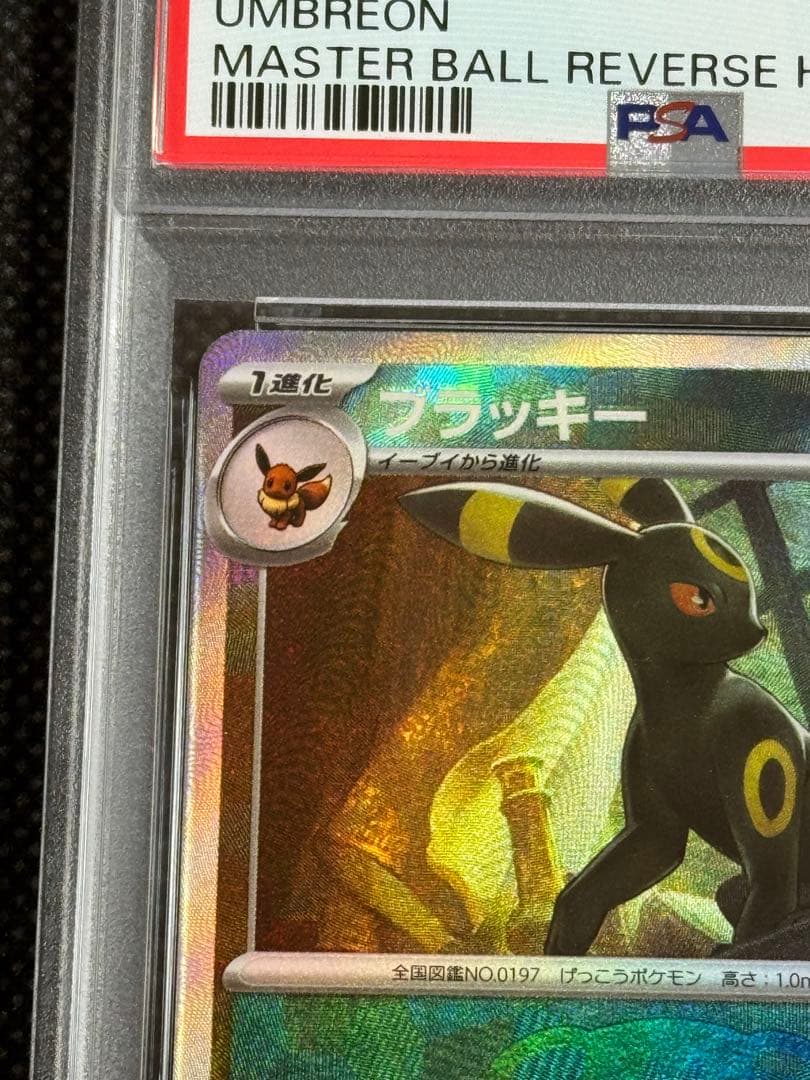 ブラッキー　マスターボールミラー　psa10