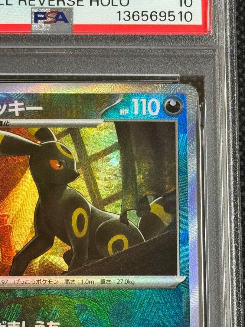 ブラッキー　マスターボールミラー　psa10