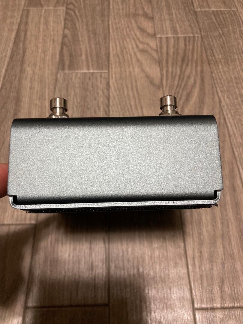 Strymon El Capistan V2 テープエコー