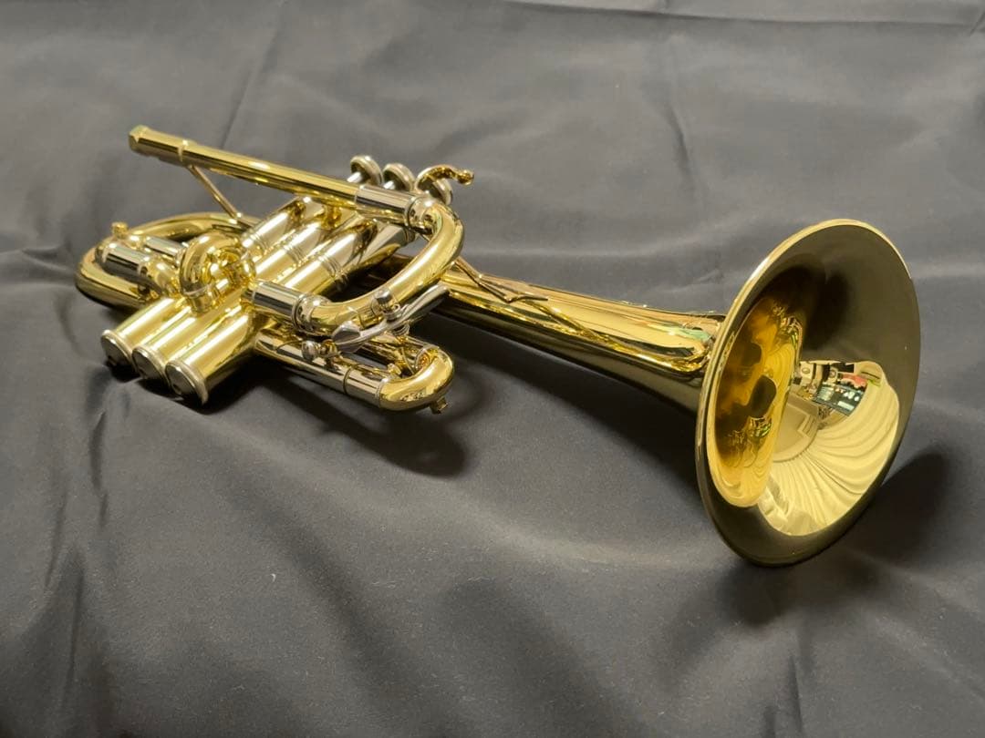 V.BachアルティザンE♭管 AE190GL 長谷川智之氏選定品 [中古]