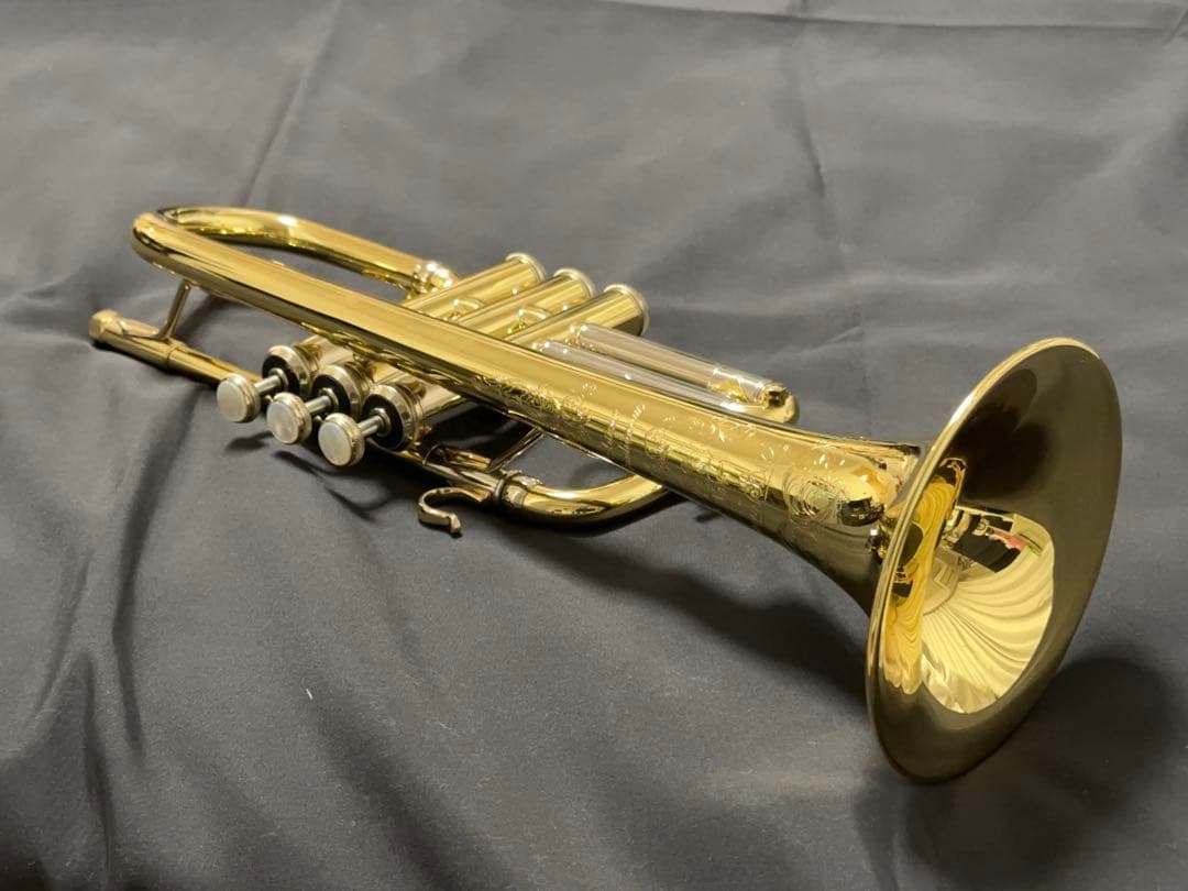 V.BachアルティザンE♭管 AE190GL 長谷川智之氏選定品 [中古]