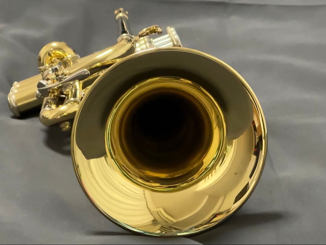 V.BachアルティザンE♭管 AE190GL 長谷川智之氏選定品 [中古]