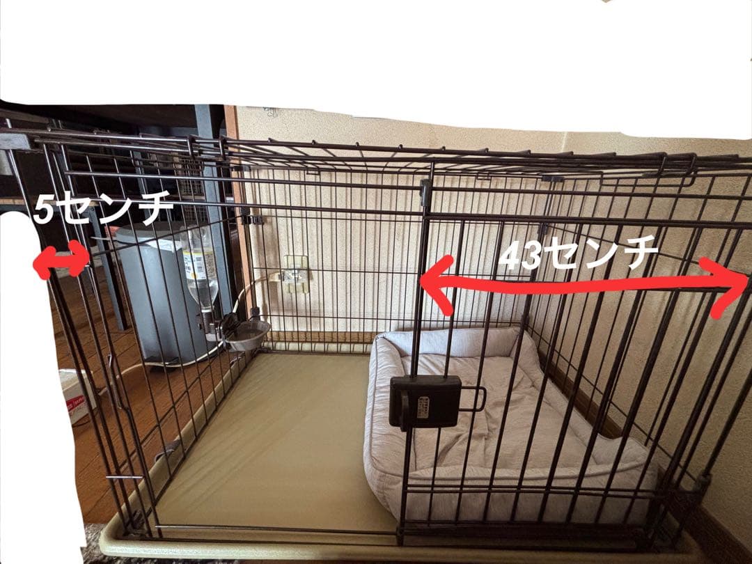 確認用写真
