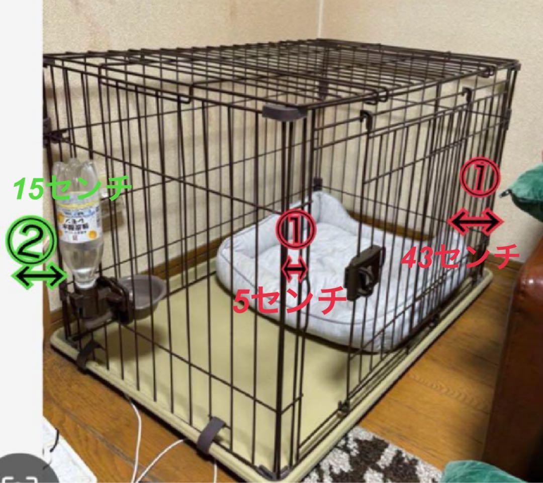 確認用写真