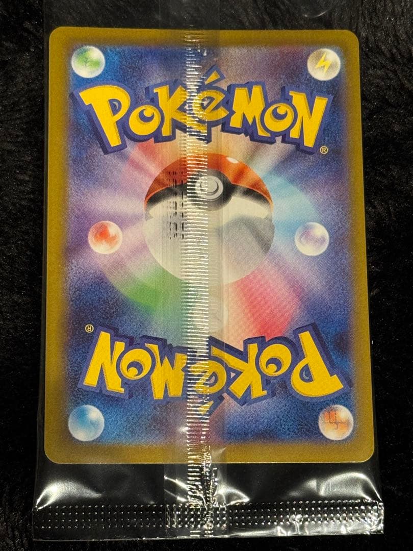 トウホクのピカチュウ　ヒロシマのピカチュウ