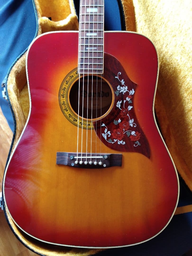 DORAD BY GRETSCH グレッチ　アコースティックギター