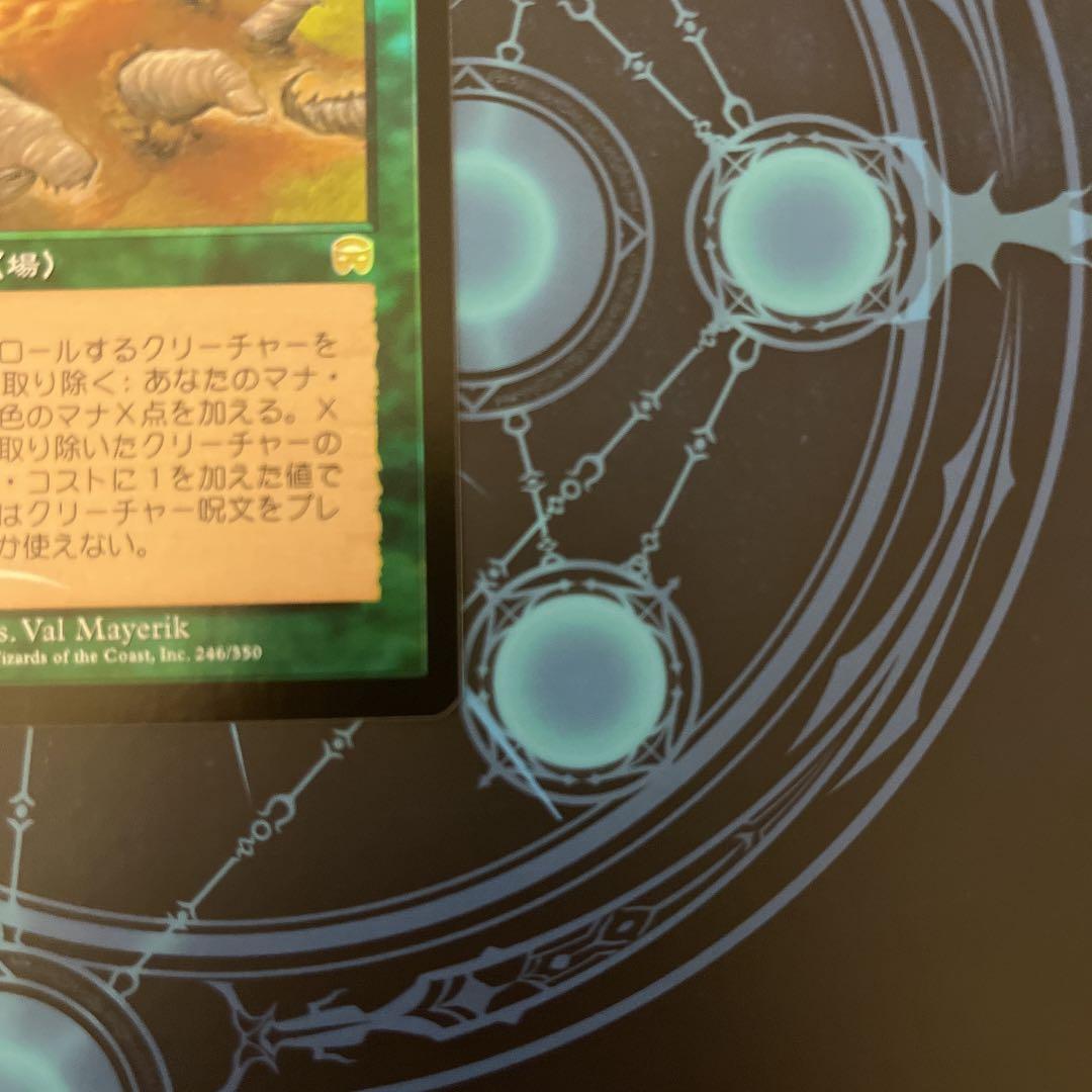 食物連鎖　foil