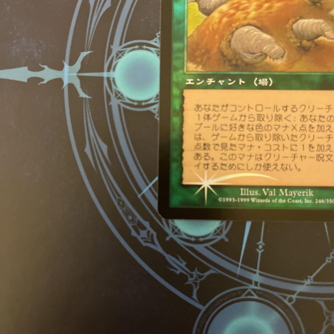 食物連鎖　foil