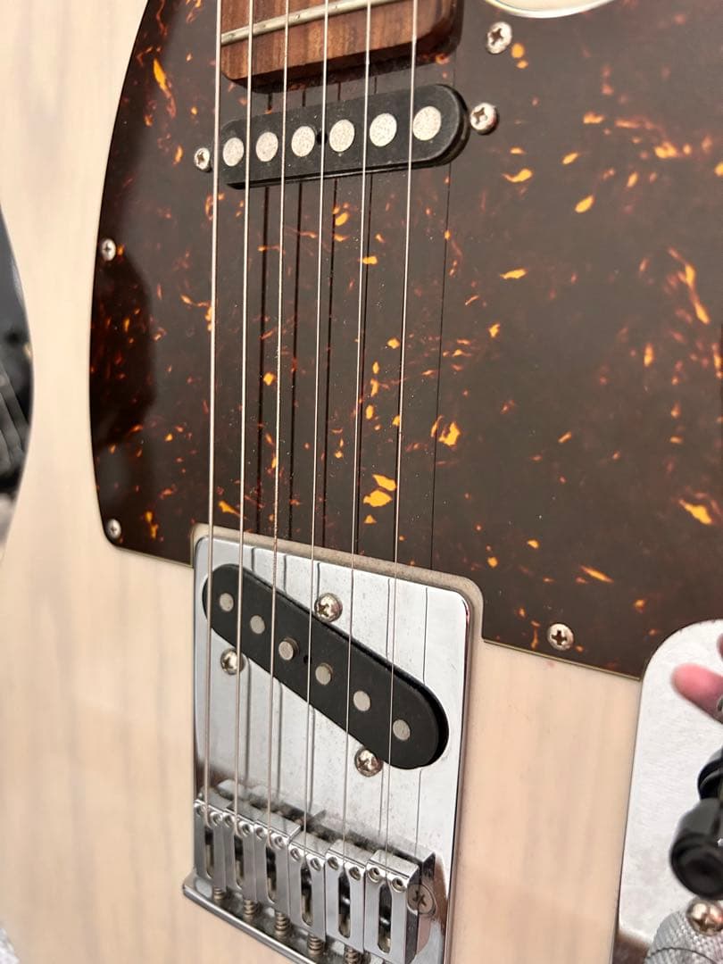 SCHECTER ( シェクター ) PA-LS/TK