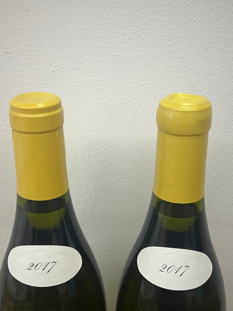 ドメーヌ ルロワ コトーブルギニョン ブラン 2017 クール（チルド発送可）