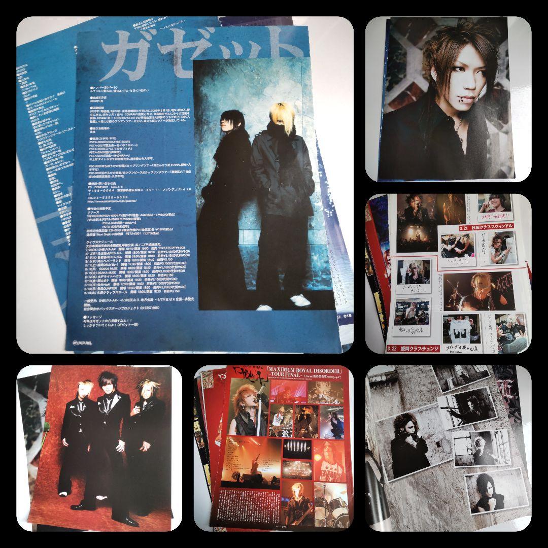 貴重！the GazettE★雑誌切り抜き【大量】約175枚 ルキ れいた 麗