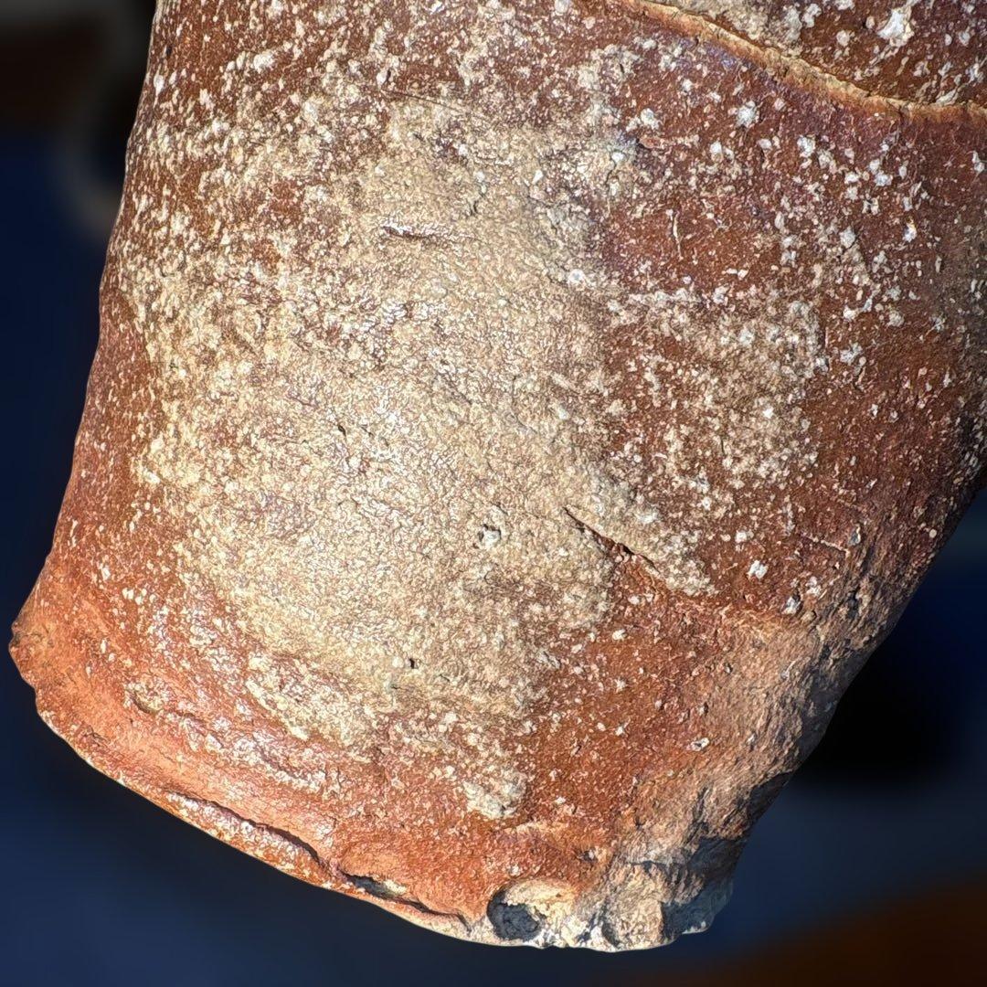 澤清嗣作　信楽焼　信楽鬼桶水指 陶器 水差し 茶色 円筒形 木箱付き
