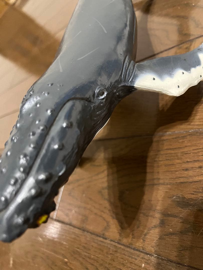 鯨　フィギュア　模型　ザトウクジラ　置物