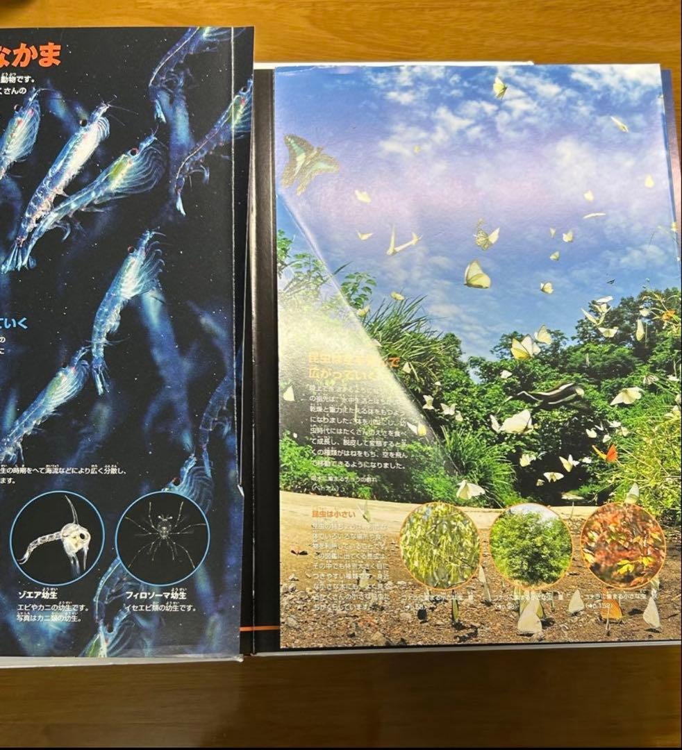 小学館の図鑑　NEO POCKET 全25冊セット