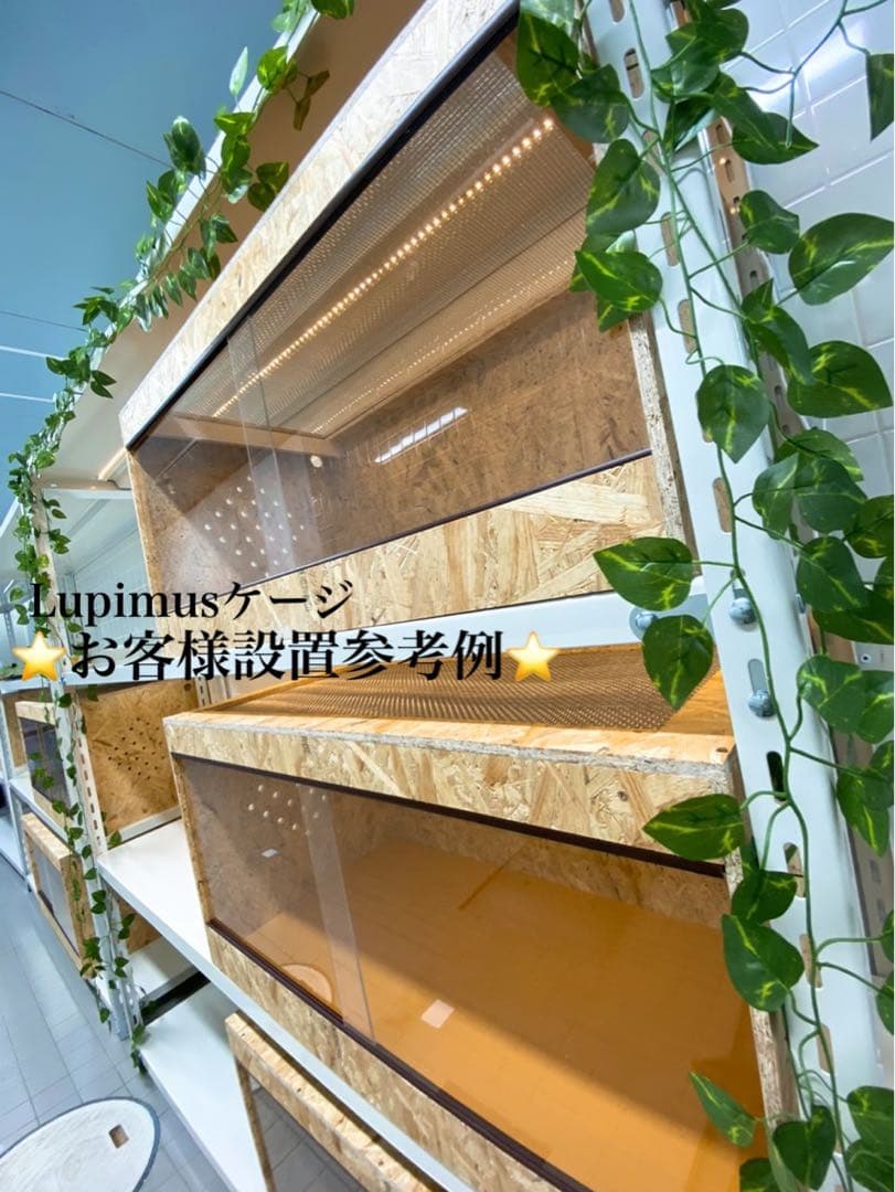 爬虫類ケージ　爬虫類飼育ゲージ　90×45×45サイズ　天井板仕様