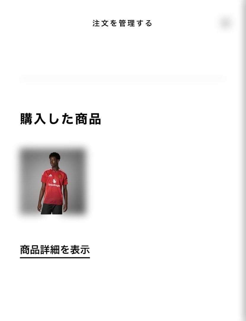 プレミアフルパッチ　マンチェスターユナイテッド ガルナチョ ユニフォーム