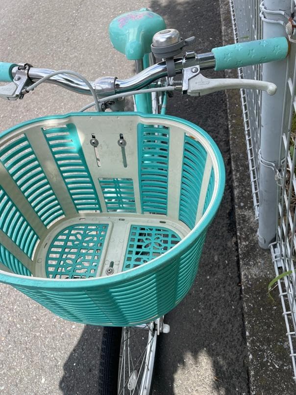 ブリヂストンECOPALエコパル22インチ-junior手渡しのみでお願いします