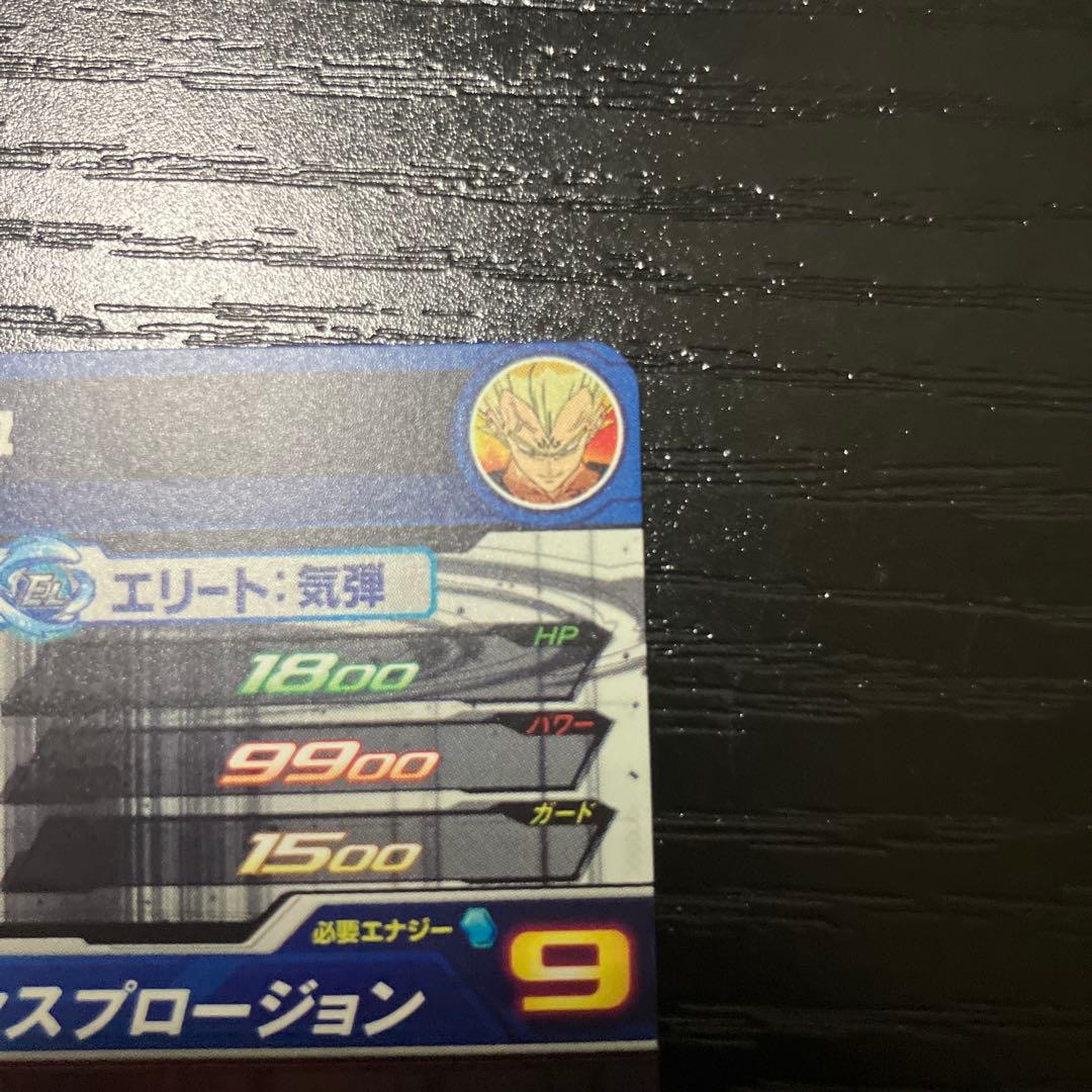 UM10-sec3　ベジータ