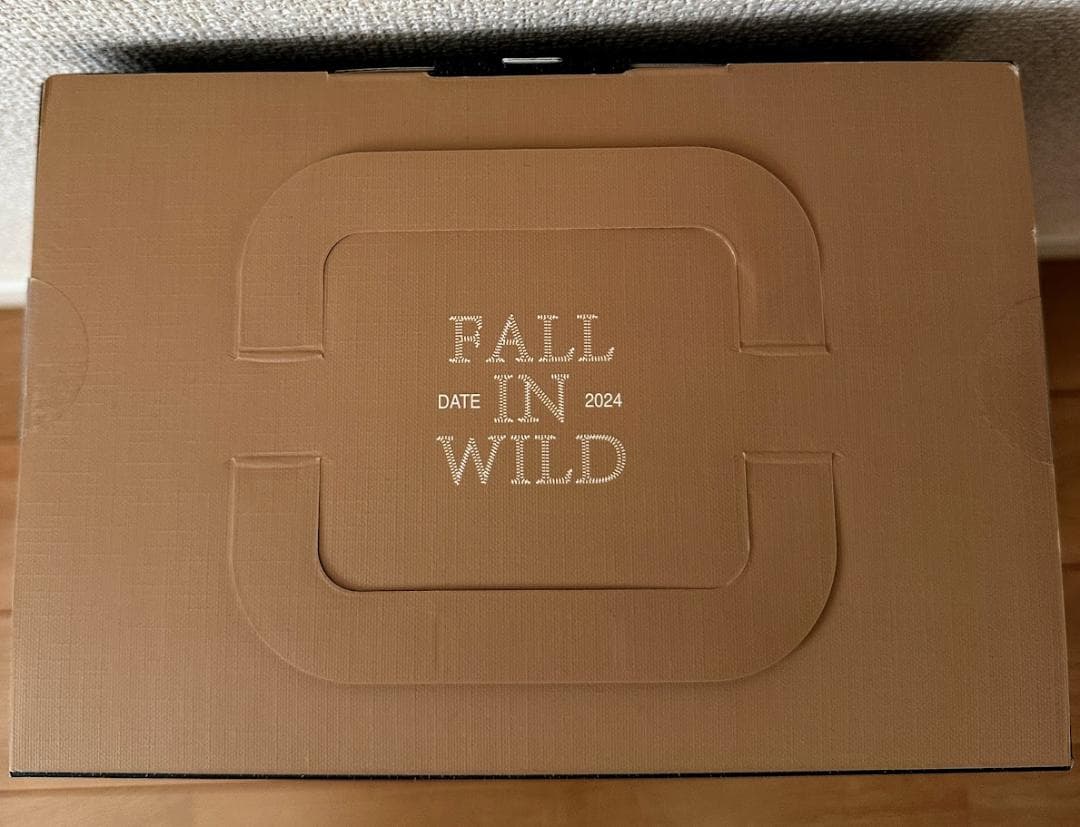 【新品・未開封】ラブブ　POP MART FALL IN WILD ぬいぐるみ