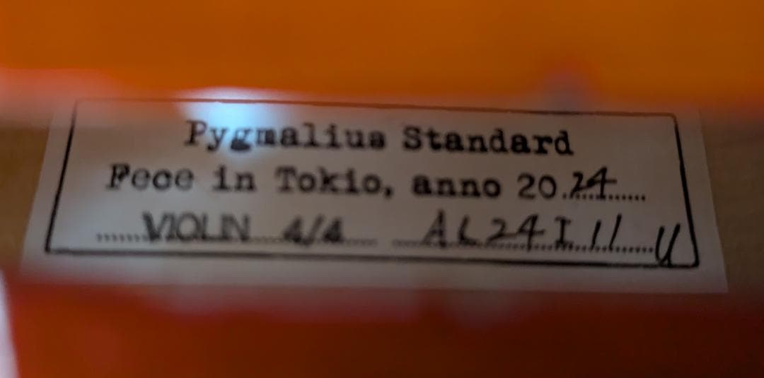 バイオリン ピグマリウス STANDARD (弓、ケース、スタンドセット)