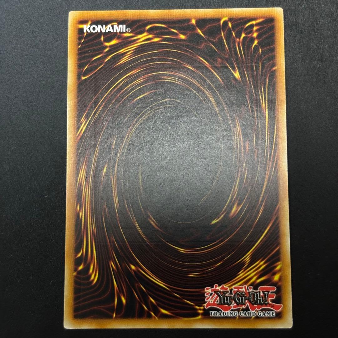 遊戯王　デブリドラゴン　EUスペイン語版　レリーフ　深掘り個体