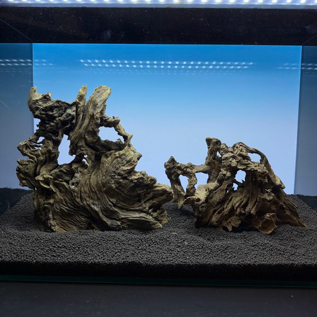 MJW-7237 「特選」ジンジャーウッド　60cm水槽用　天然流木3本セット