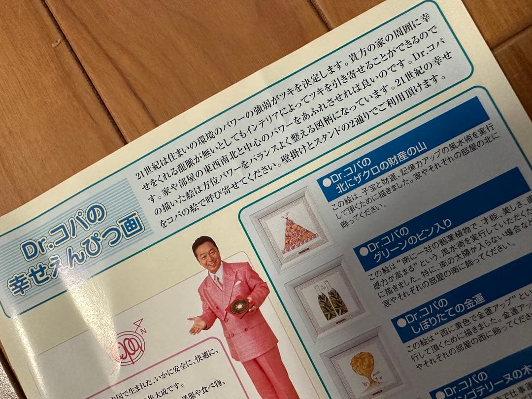 縁起物『Dr.コパの北にザクロの財産の山』 財運 子宝 額装 18×18cm