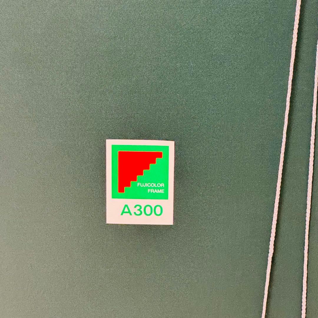 【9枚あり！】フジカラー A300 全紙 アルミ額縁