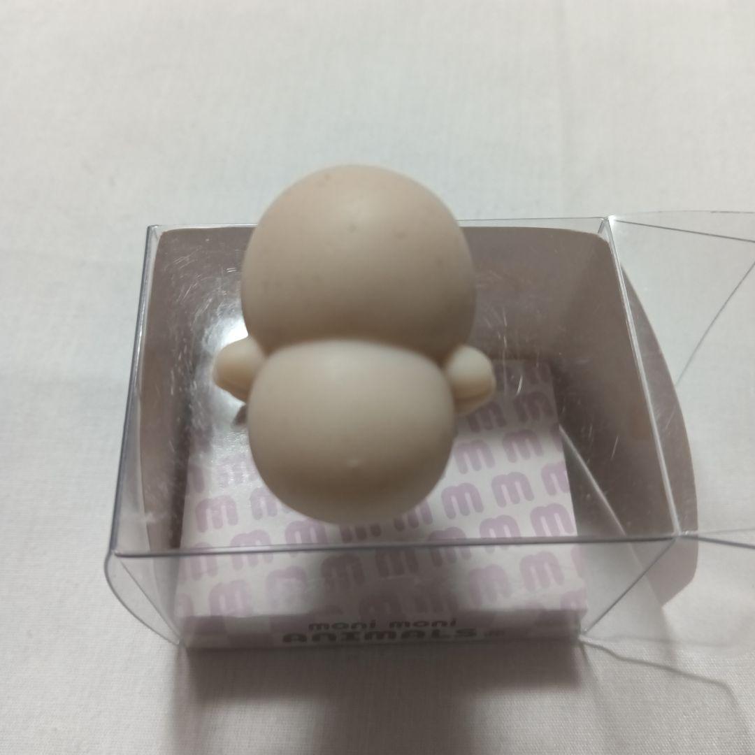 moni moni ANIMALS サラマンダー