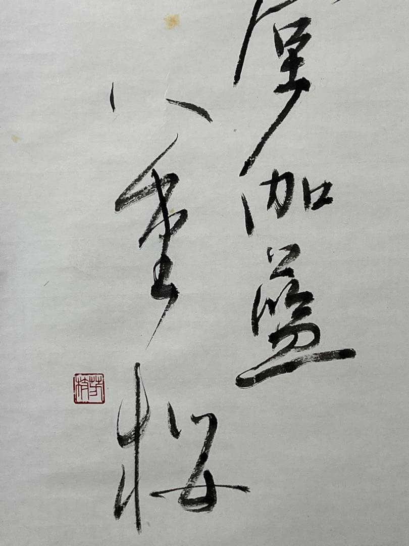掛軸 馬場汀舟作 「八重桜」849