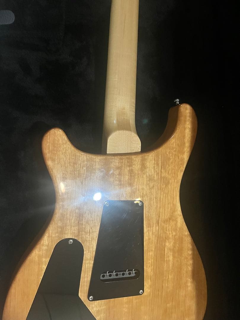 おもち　PRS IkebeOriginal CUSTOM24