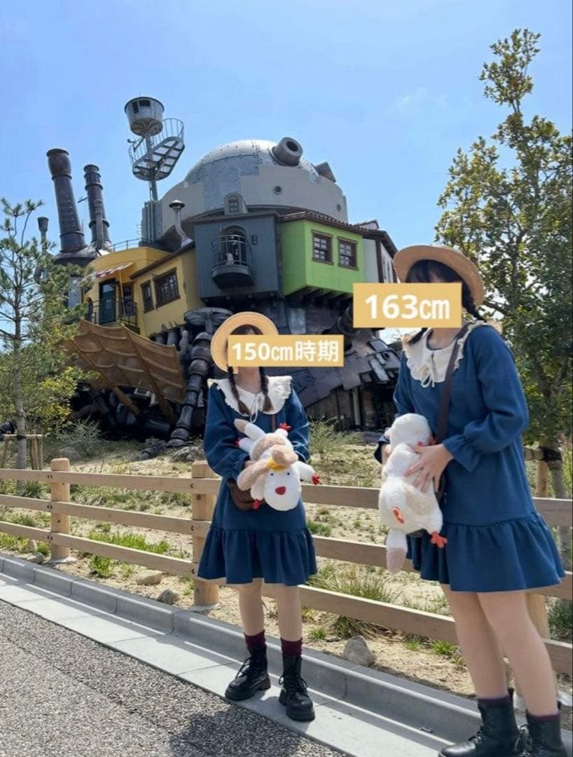 スタジオジブリ　ハウルの動く城　ヒン　ぬいぐるみMサイズ