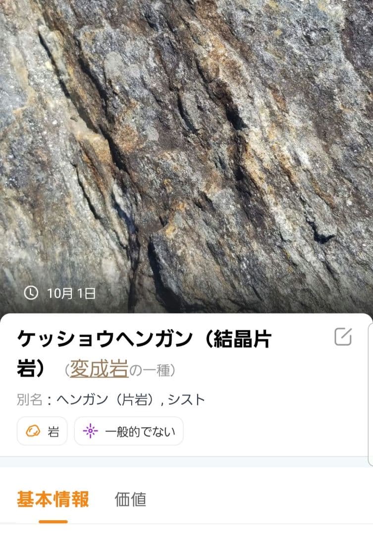 希少原石　大型　結晶片岩　シスト　庭石　ロックガーデン　ガーデニング　鉱物　原石