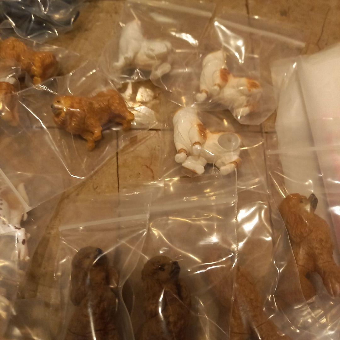 ★フルタ★チョコエッグ★ペット動物第3弾★13種36点★ダルメシアン多め