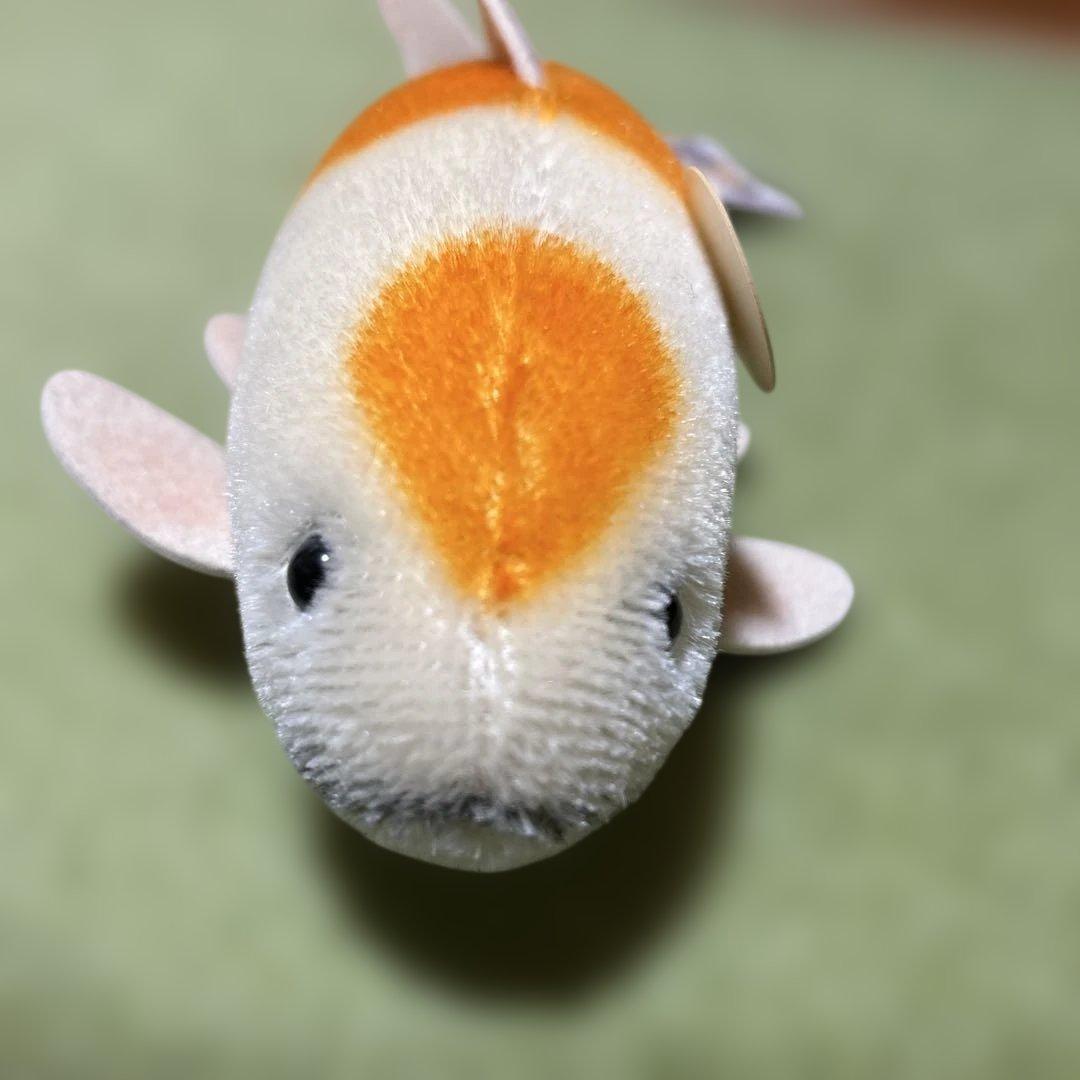 激レア　シュタイフアニマル　コイ鯉　ぬいぐるみ