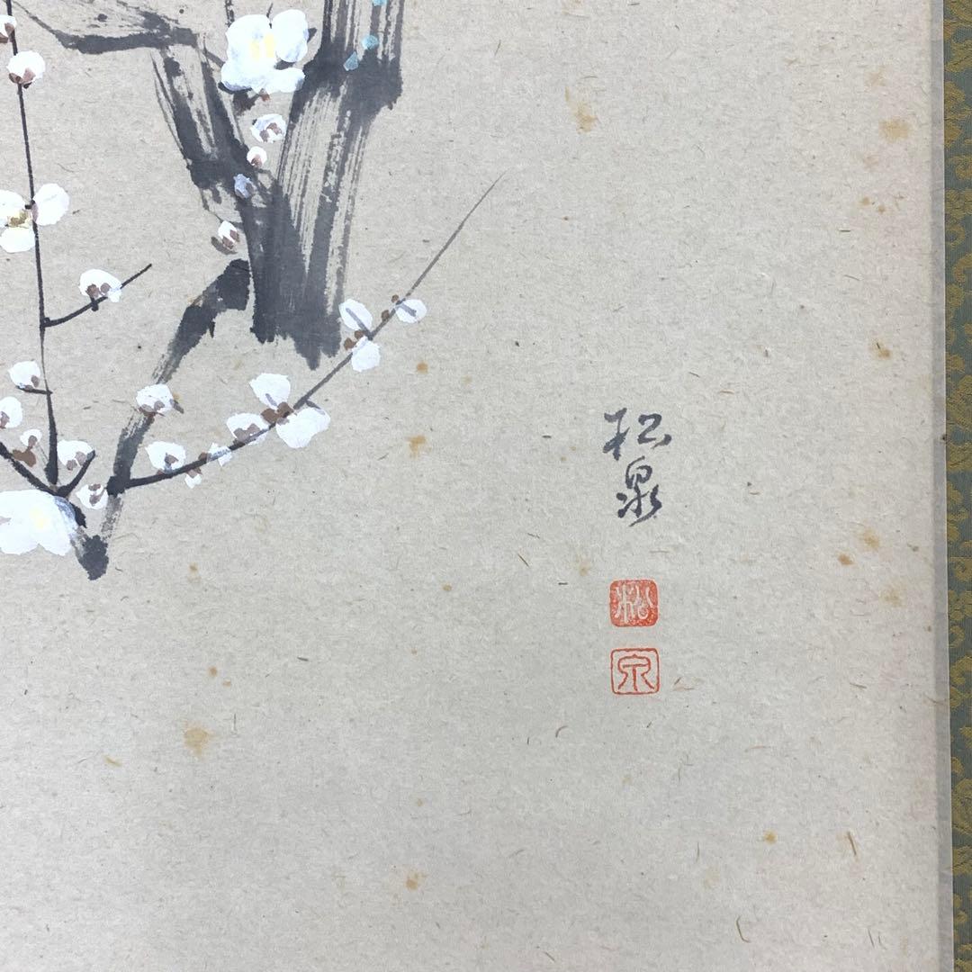 掛軸 雪尾要道 春風 共箱 画賛 白梅 春 茶掛 茶道具 6-31