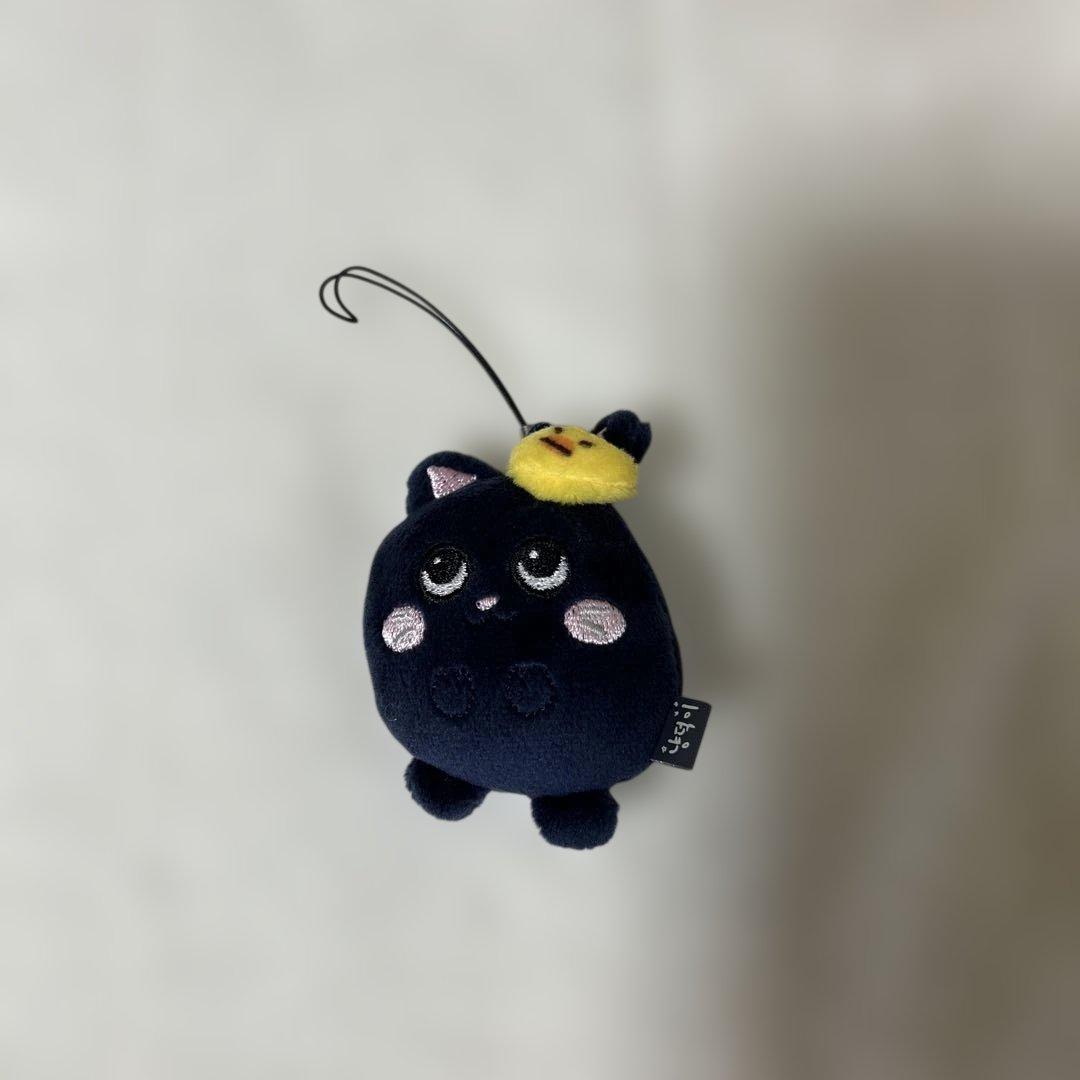WONBIN RIIZE ペンライト　アクスタ　トレカ　ペンラカバー　キーリング