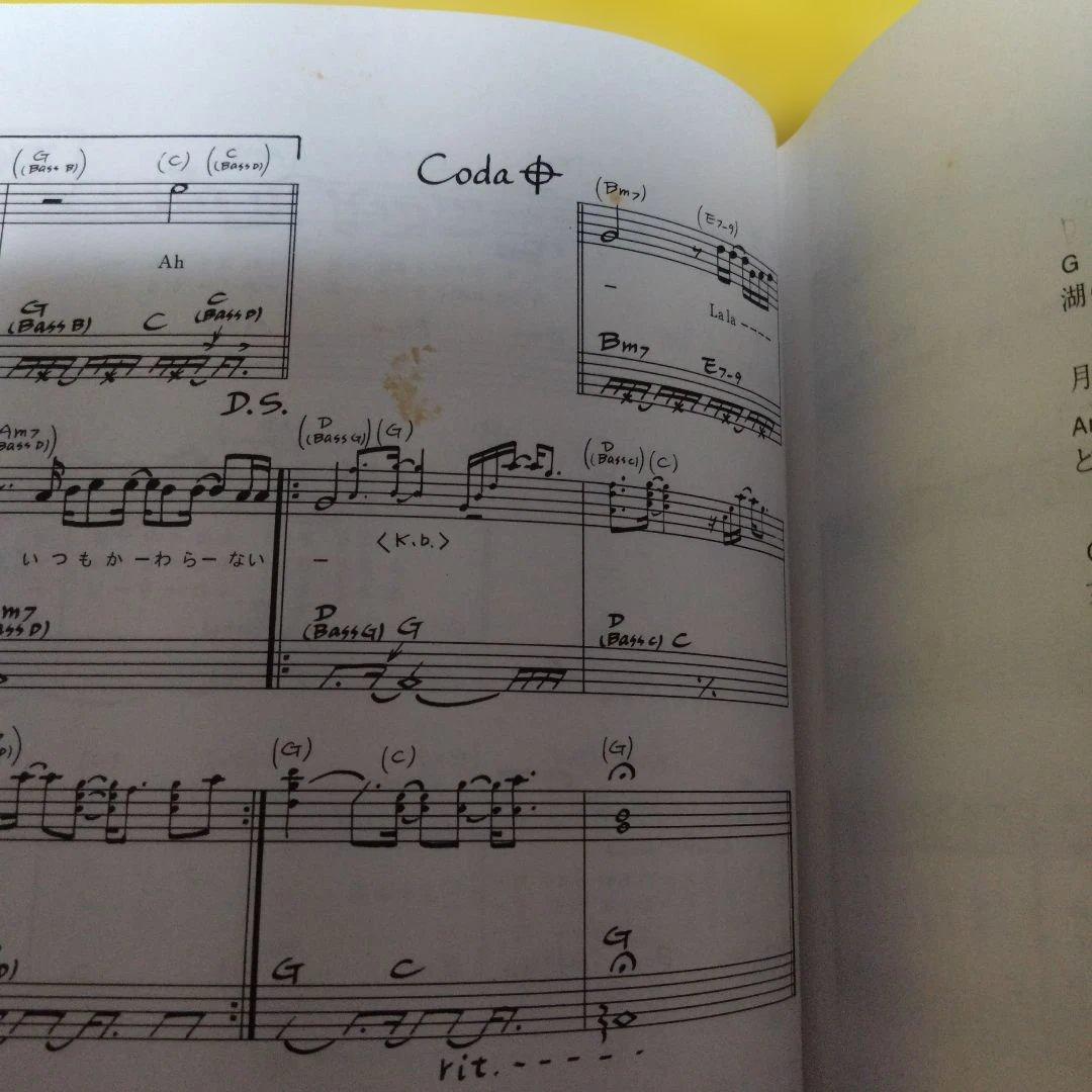 最終値下げ♪佐野元春 ギター・ソング・ブック