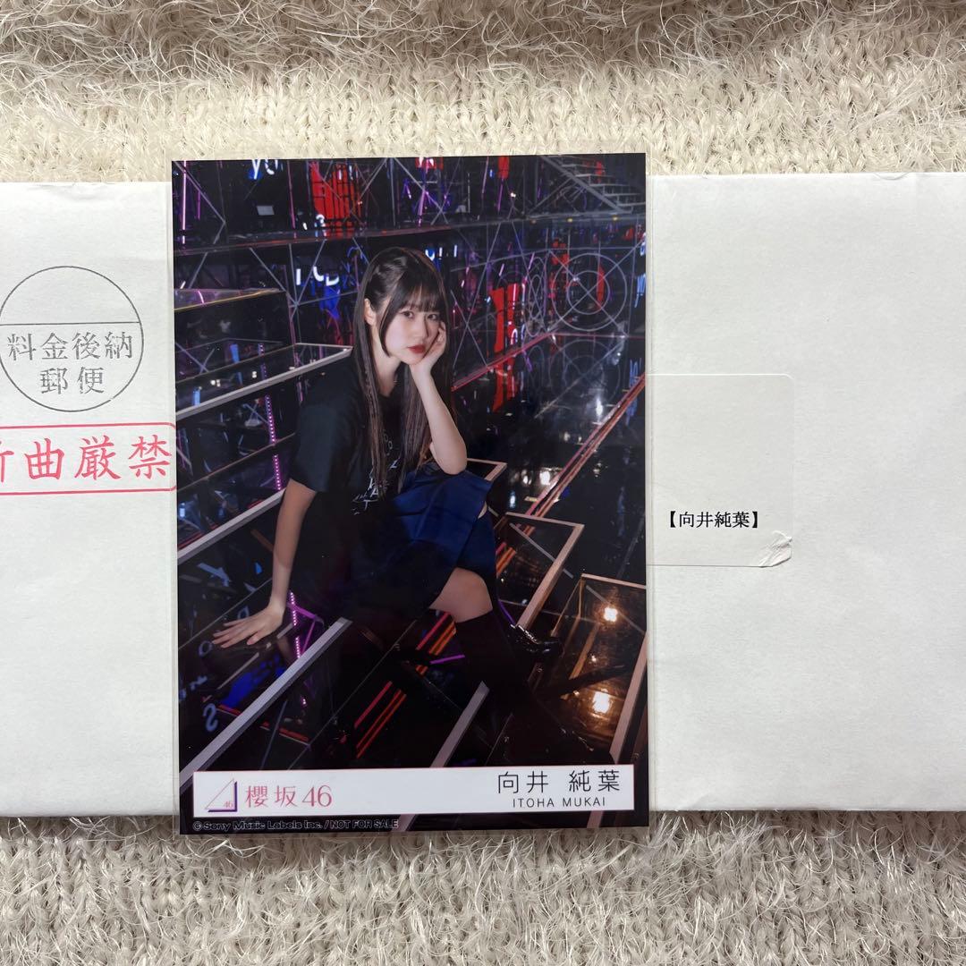櫻坂46 向井純葉 生写真 東京ドーム スペシャルプレゼント