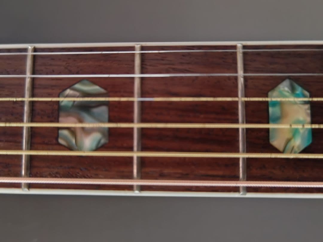 Morris W40 ビンテージ サンバースト コレクター