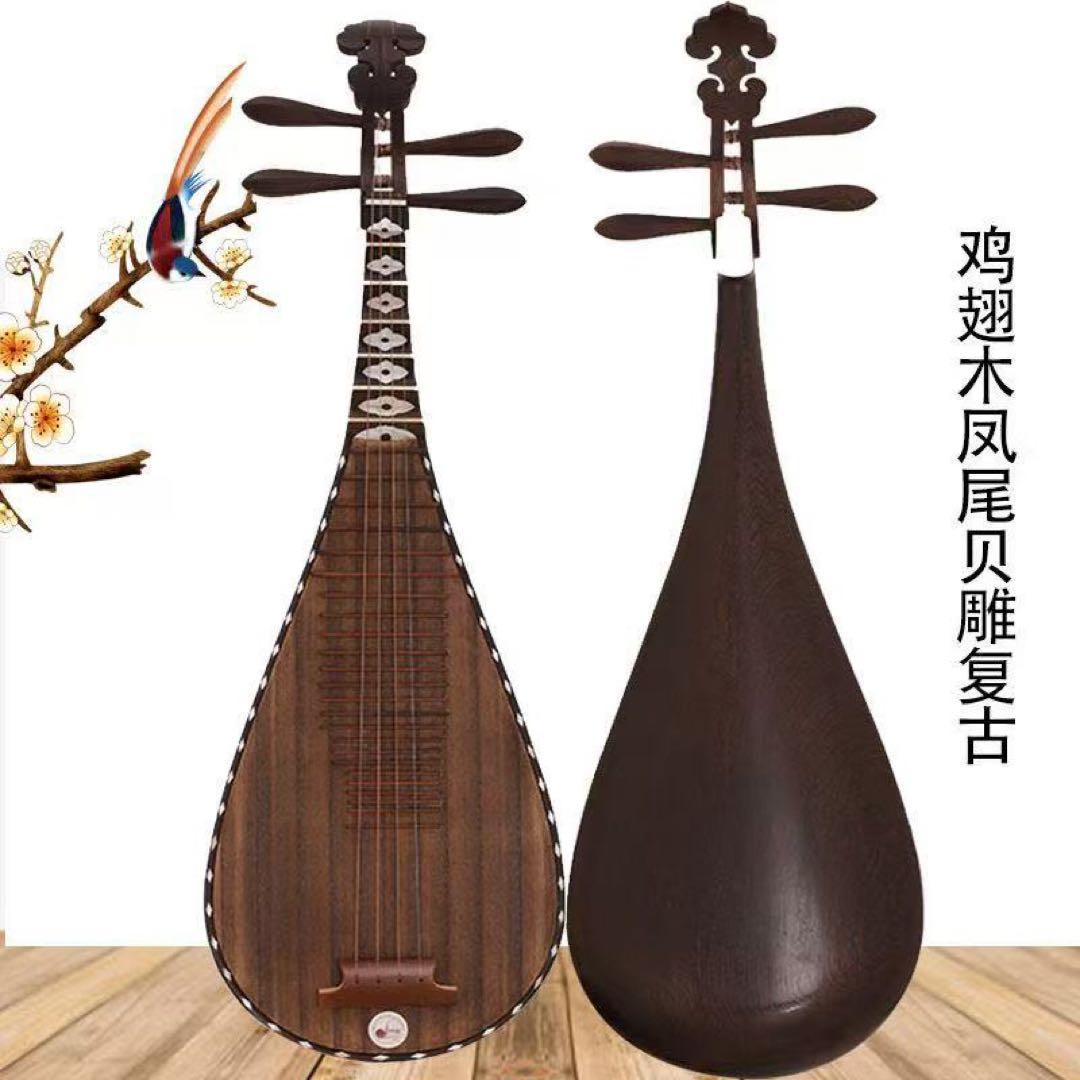 中国琵琶