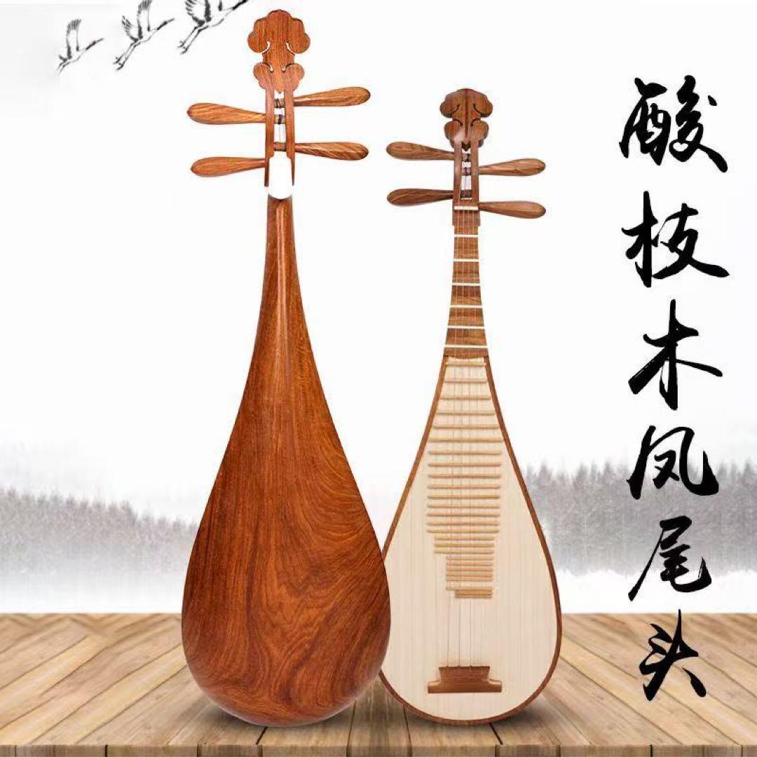 中国琵琶