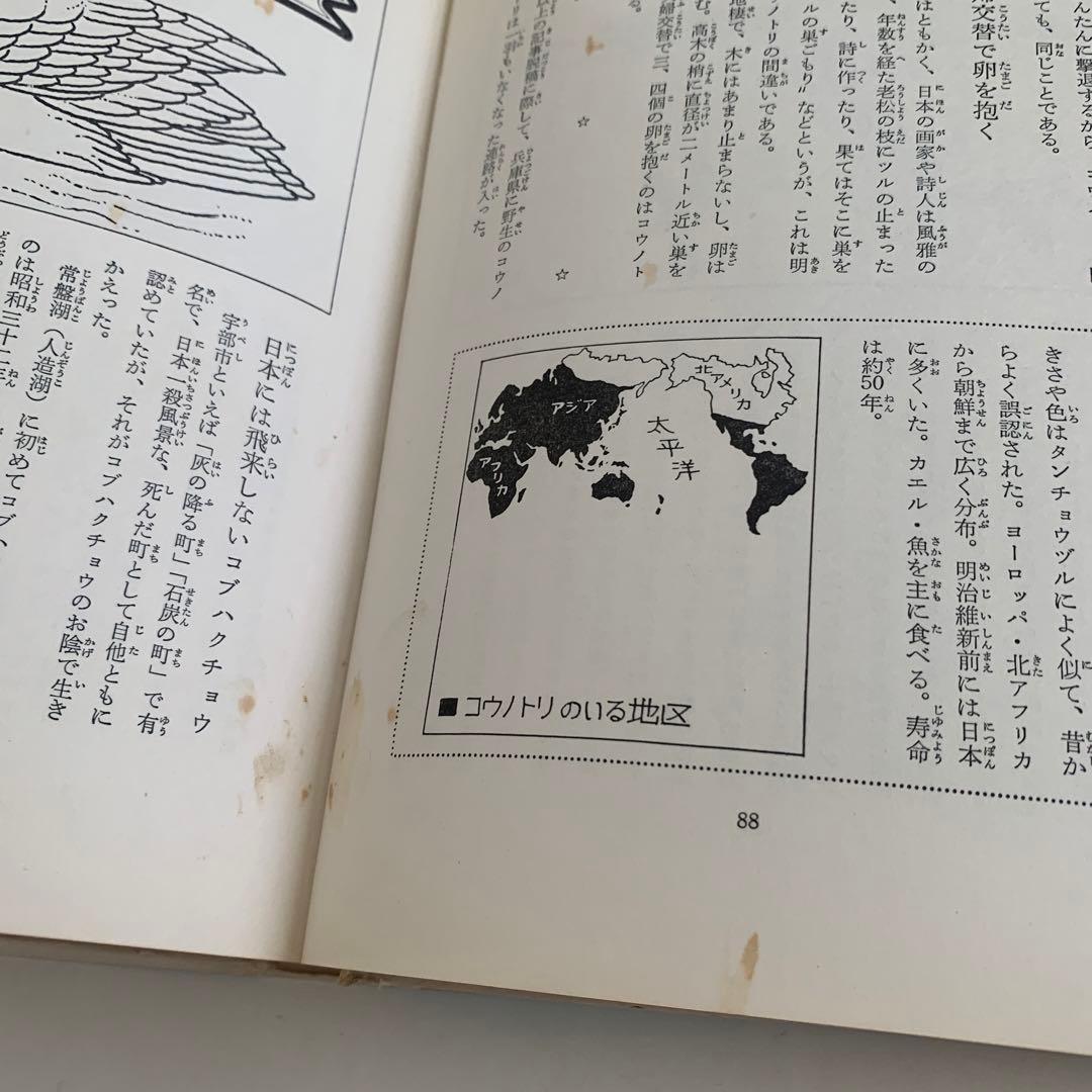 世界新動物記