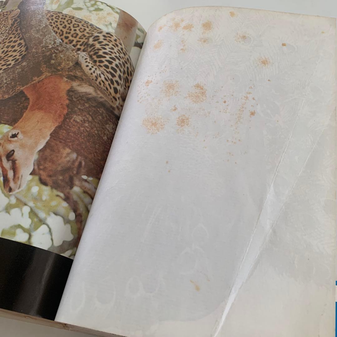 世界新動物記