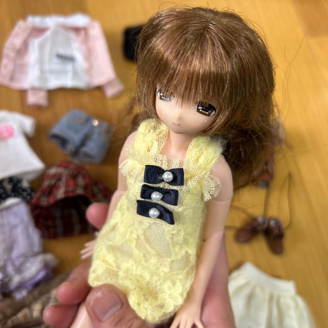 「えっくす☆きゅーと」シリーズのドールと衣装のセット
