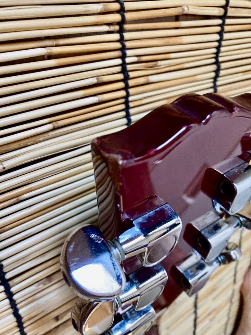 ☆オータムセール☆ 2V1Tに大変身した機能満載のBusker's LP